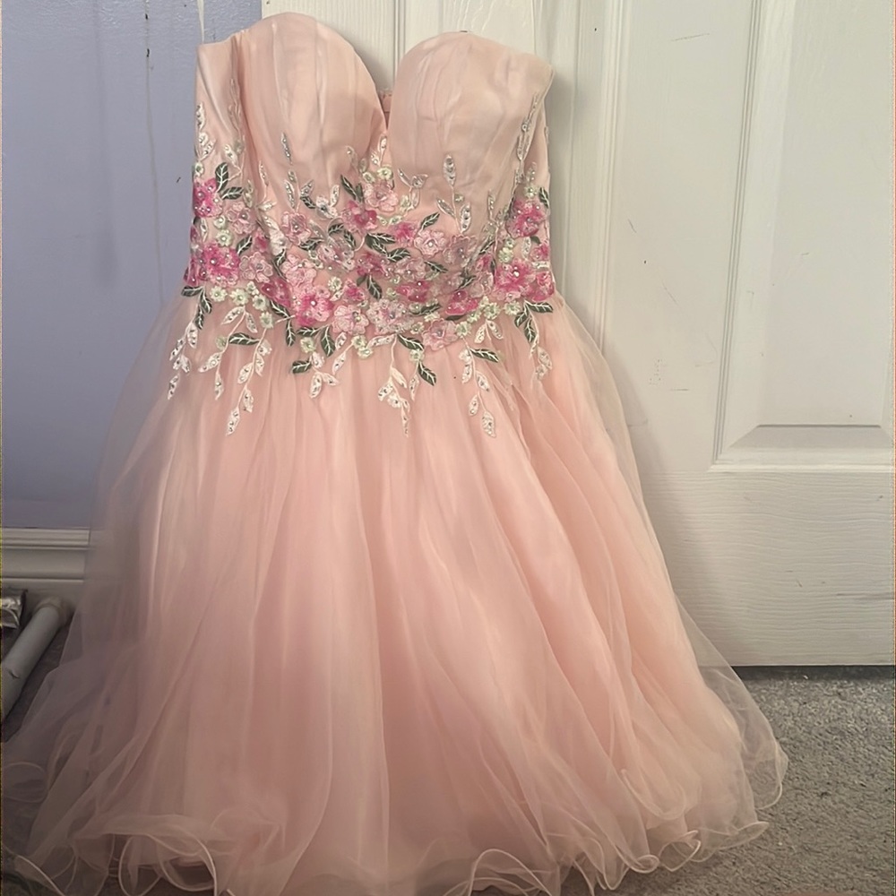 pink fancy dress